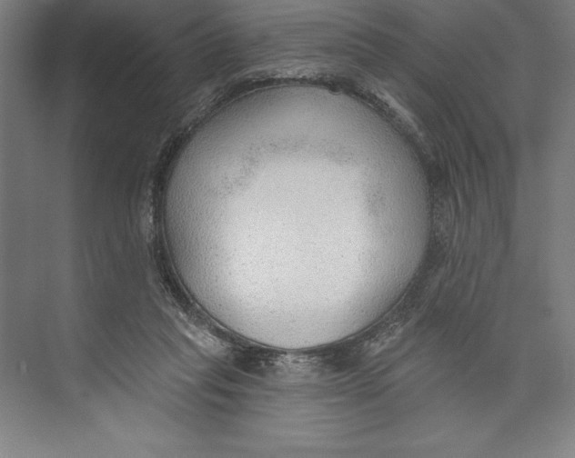 X0000074940261200609221712