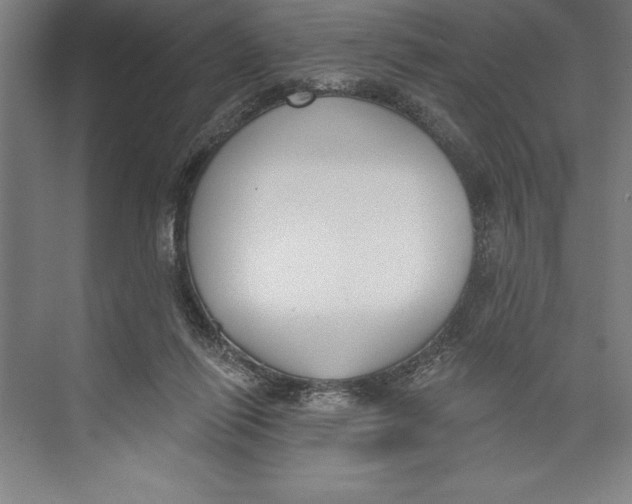 X0000074940262200609221712