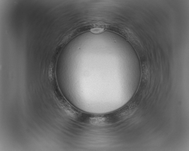 X0000074940266200609221712