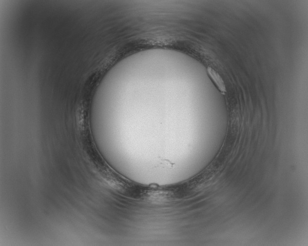 X0000074940268200609221713