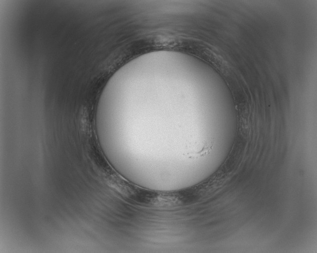 X0000074940270200609221713