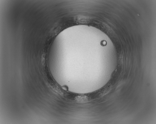 X0000074940271200609221713