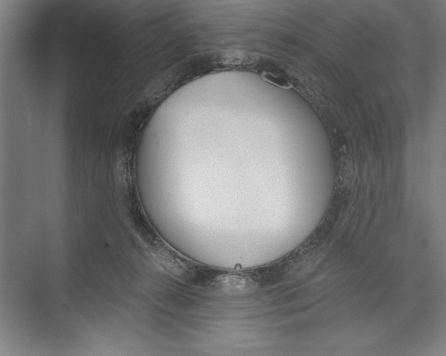 X0000074940272200609221713