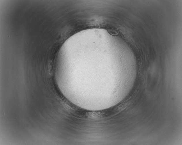 X0000074940273200609221713