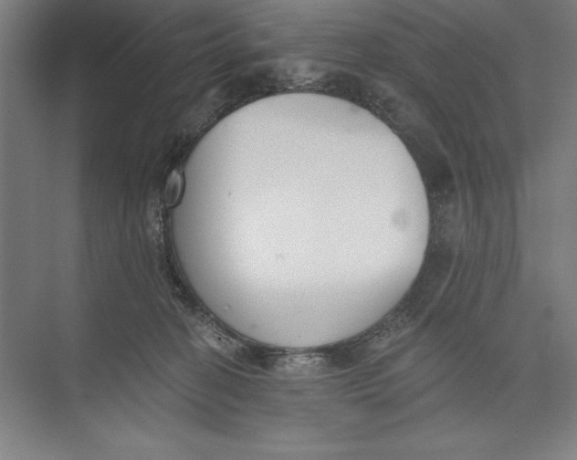 X0000074940274200609221713