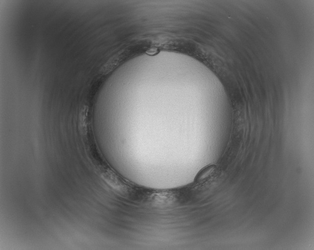 X0000074940275200609221713