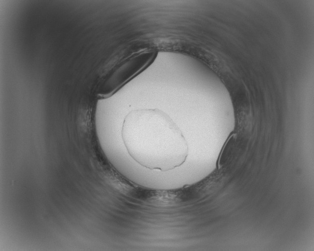 X0000074940278200609221713