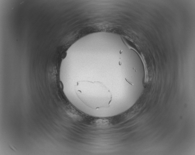 X0000074940279200609221713