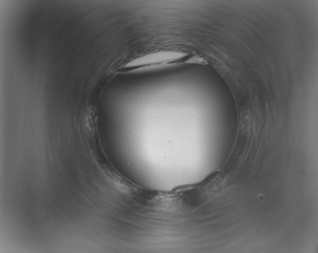 X0000074940280200609221713