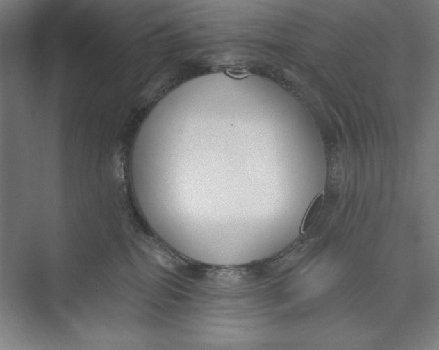 X0000074940282200609221713