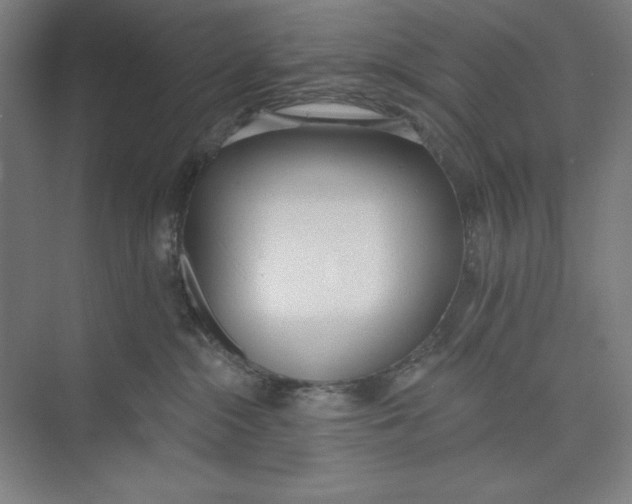 X0000074940284200609221713