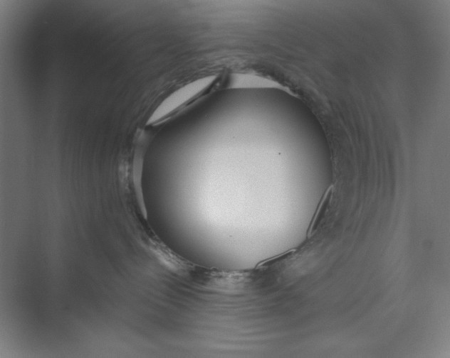 X0000074940288200609221713