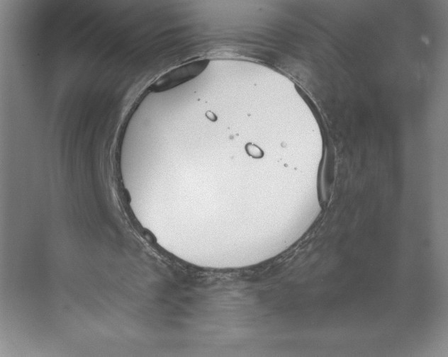 X0000074940289200609221712