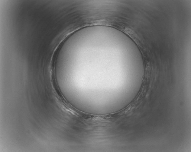 X0000074940290200609221712