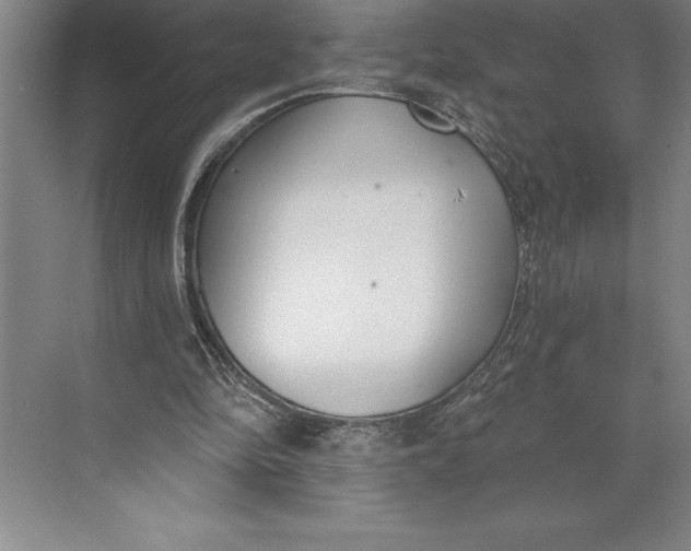 X0000074940294200609221712