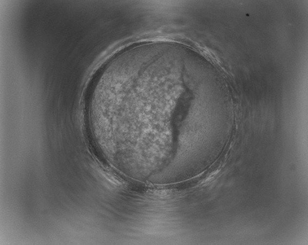 X0000074940295200609221712