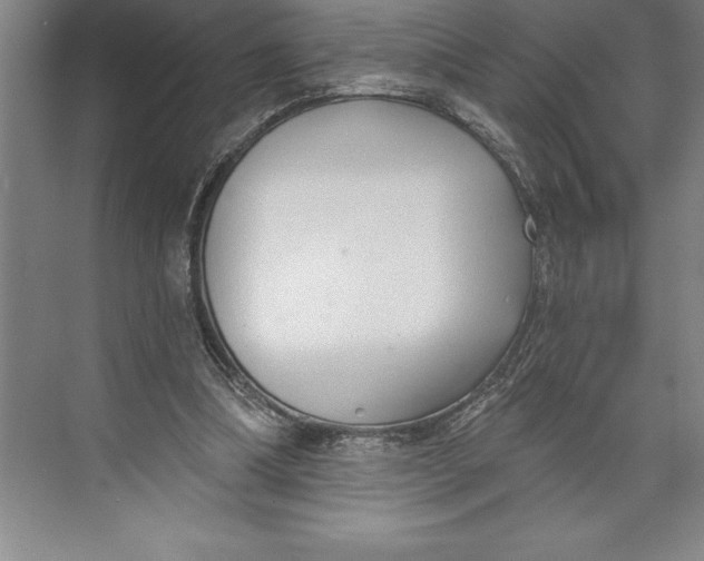 X0000074940298200609221712