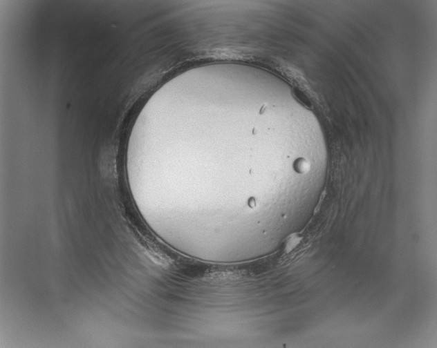 X0000074940299200609221712