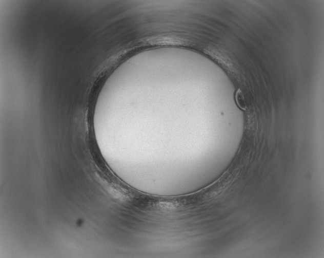 X0000074940302200609221712