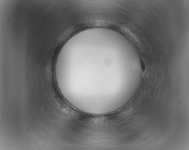 X0000074940306200609221712