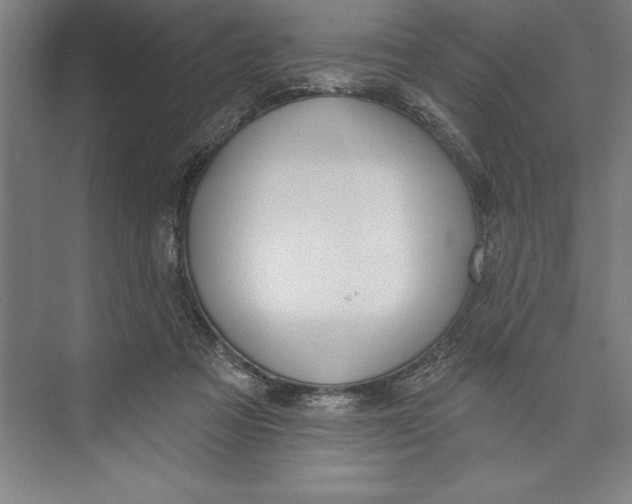 X0000074940313200609221712