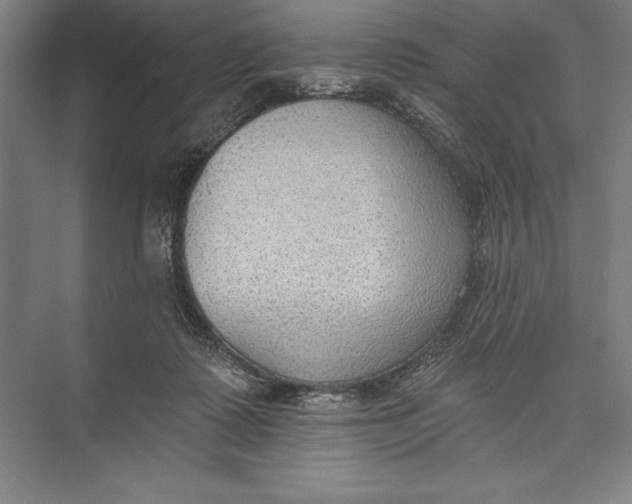 X0000074940315200609221712