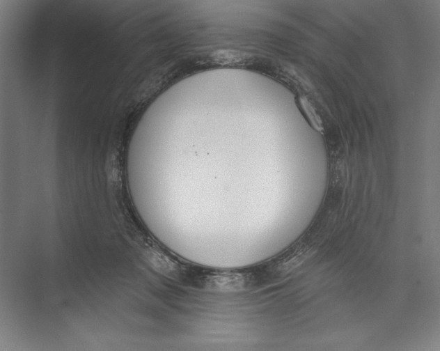 X0000074940317200609221712