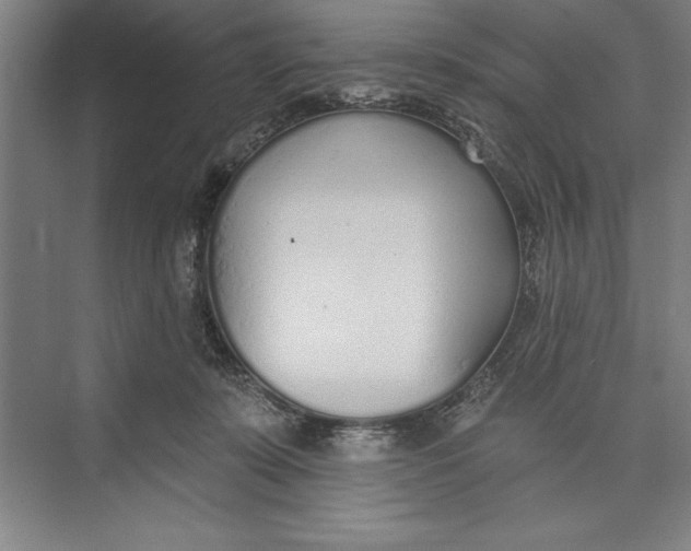 X0000074940319200609221712