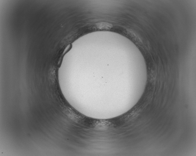 X0000074940321200609221712