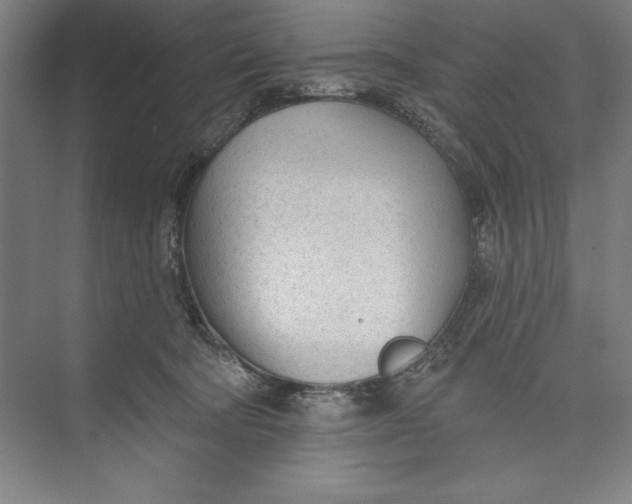 X0000074940322200609221711