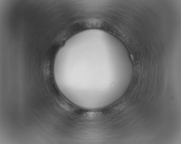 X0000074940323200609221711