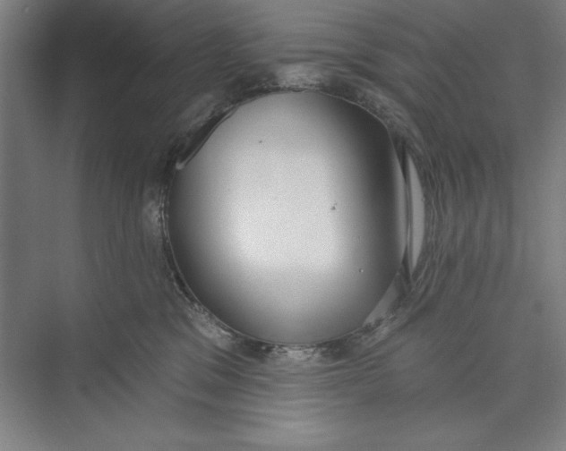 X0000074940329200609221711