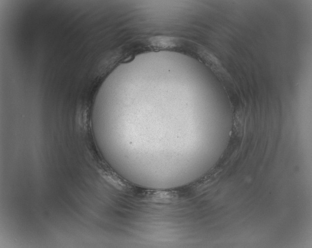 X0000074940330200609221711