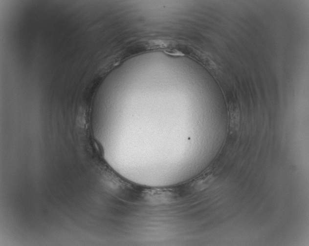 X0000074940331200609221711