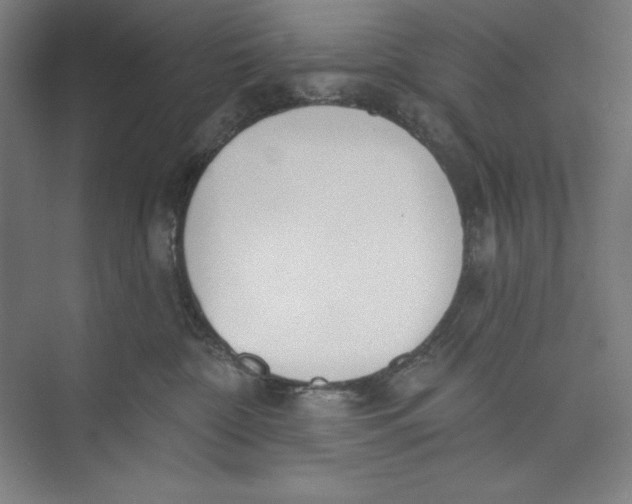 X0000074940332200609221711