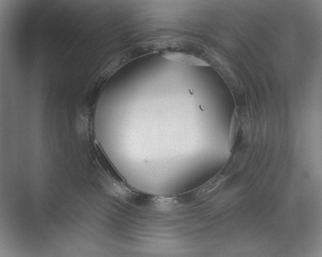 X0000074940333200609221711