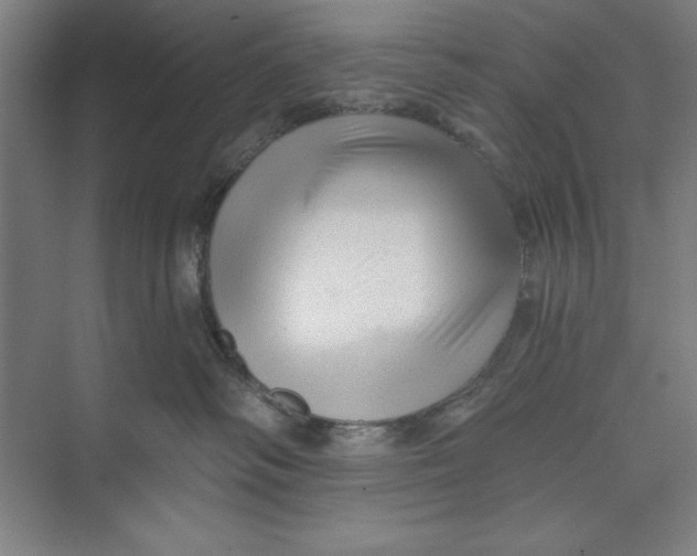 X0000074940334200609221711