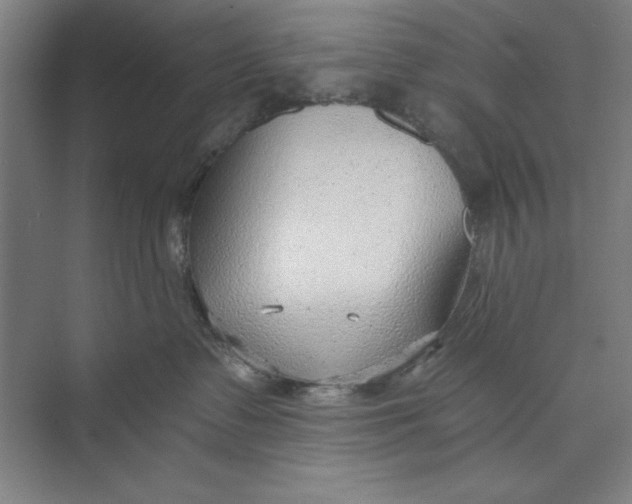 X0000074940335200609221711