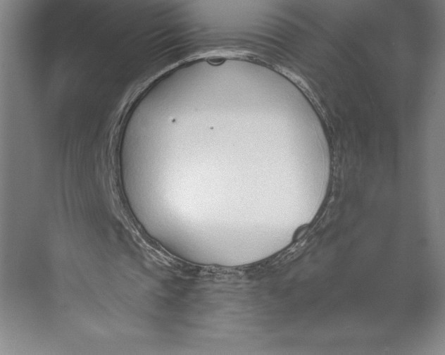 X0000074940337200609221710