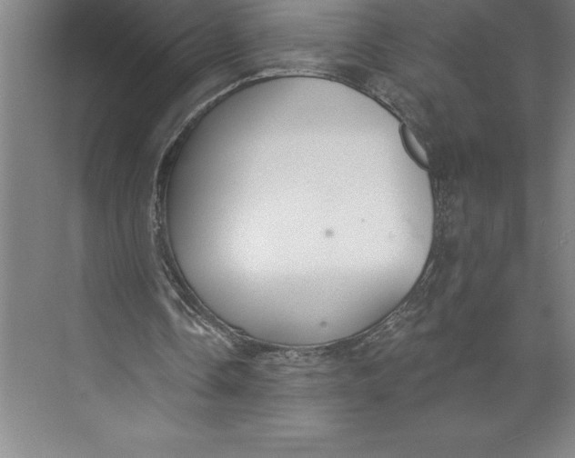 X0000074940338200609221710