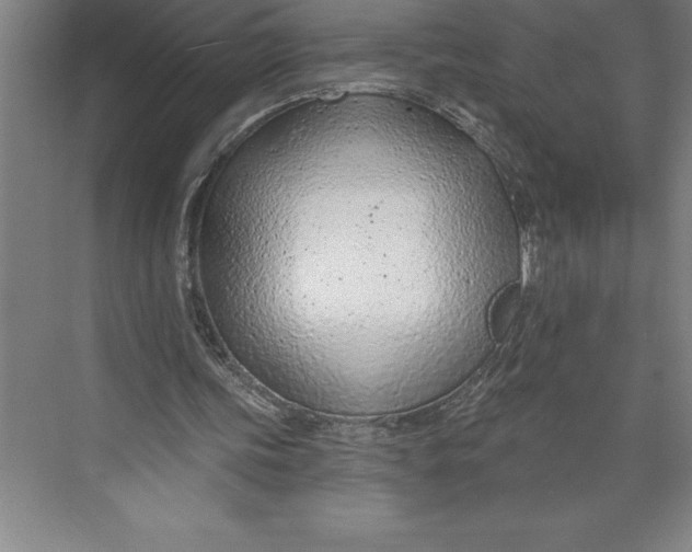 X0000074940339200609221710