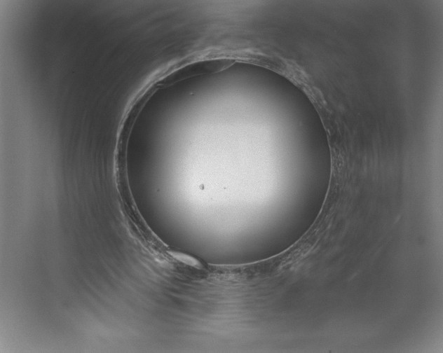 X0000074940340200609221710