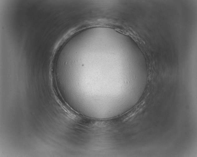 X0000074940341200609221711