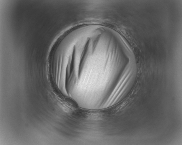 X0000074940342200609221711