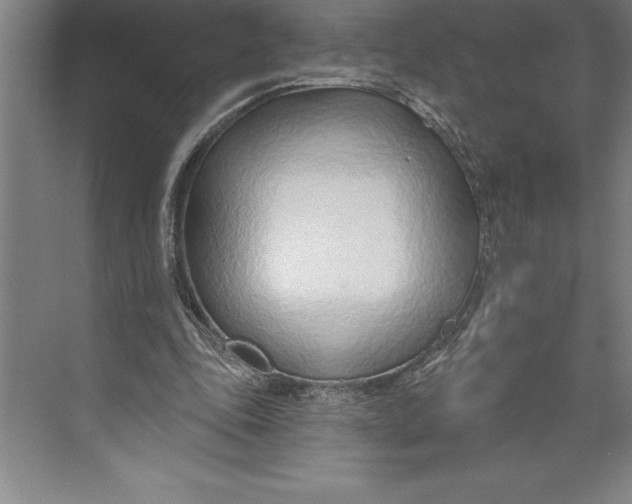 X0000074940343200609221711