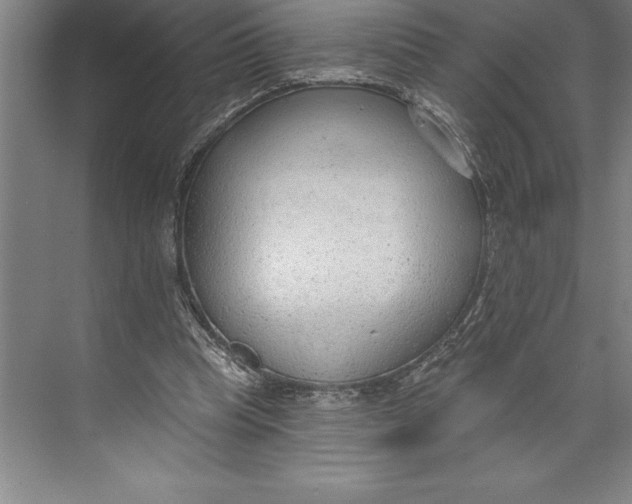 X0000074940345200609221711