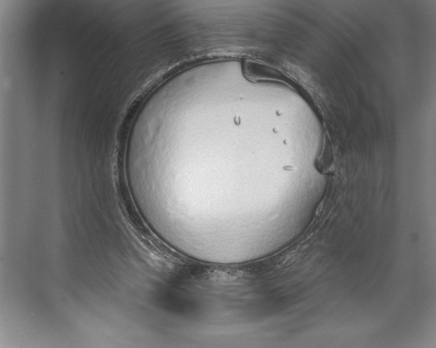 X0000074940346200609221711