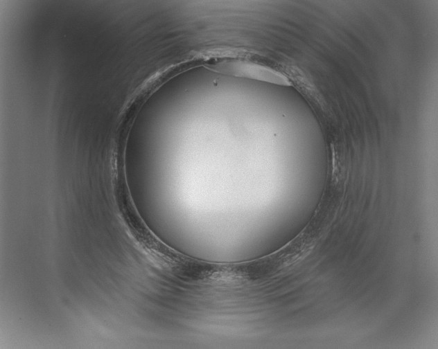 X0000074940348200609221711