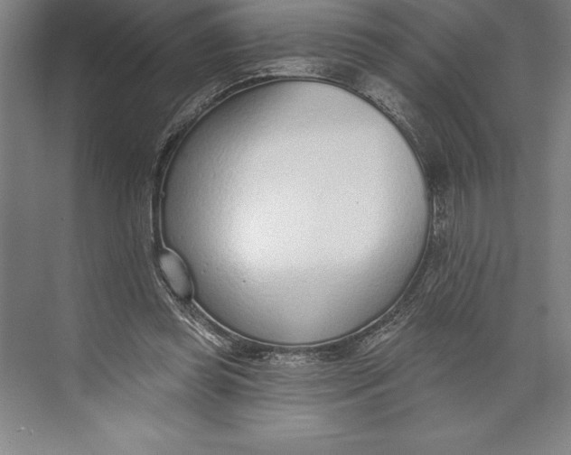 X0000074940349200609221711