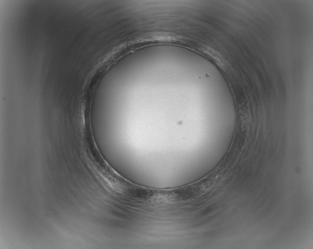 X0000074940350200609221711